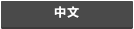 中文