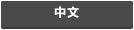 中文