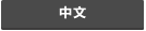 中文